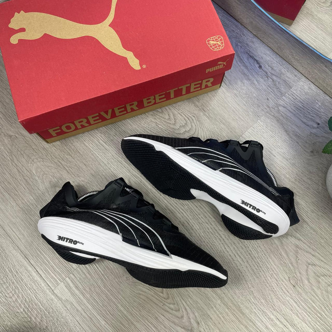 Tenis 0625-320