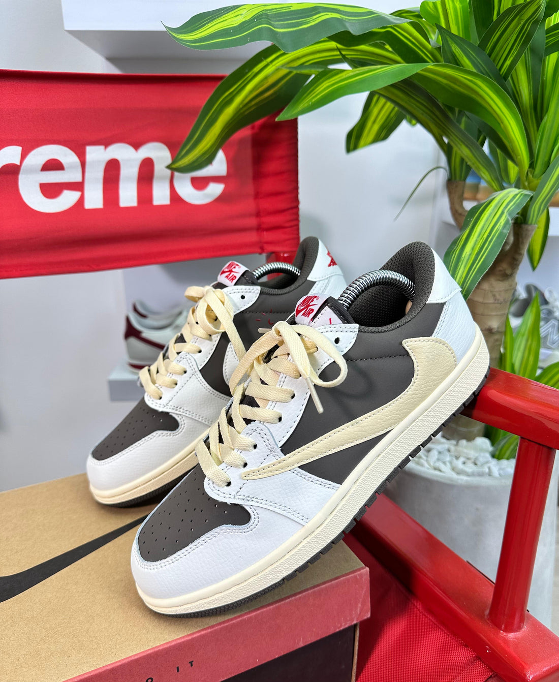 Tenis 0625-373
