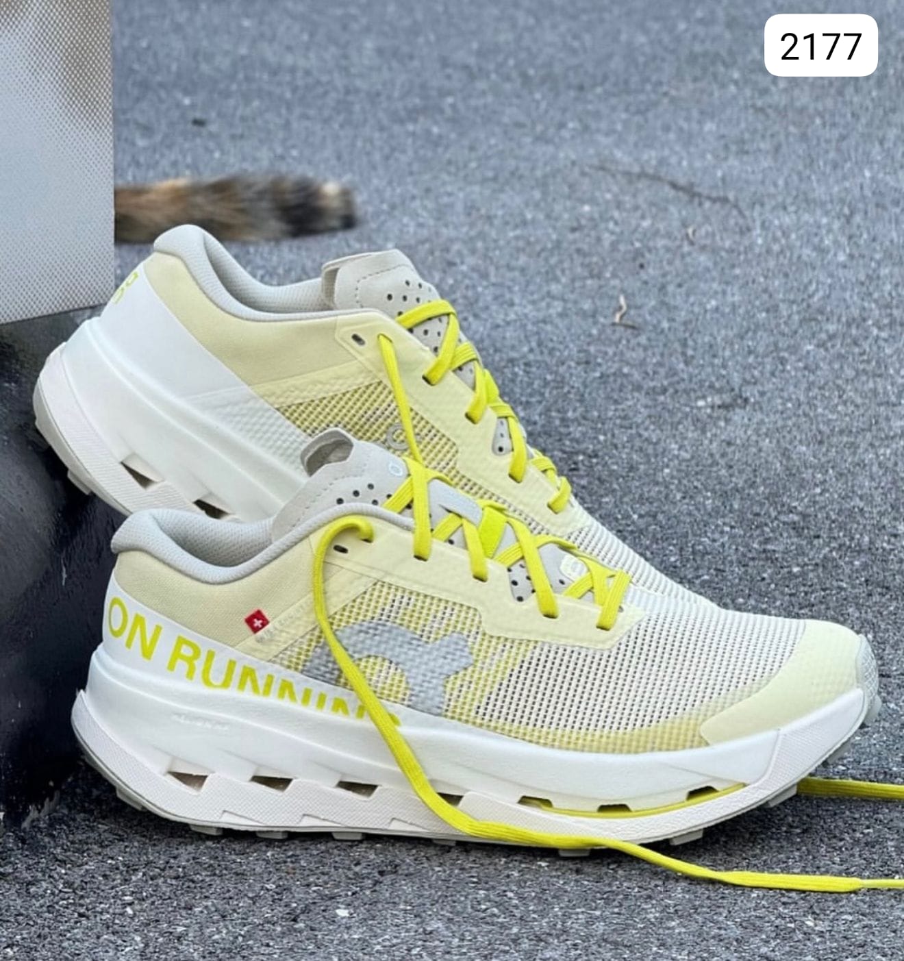 Tenis Importados