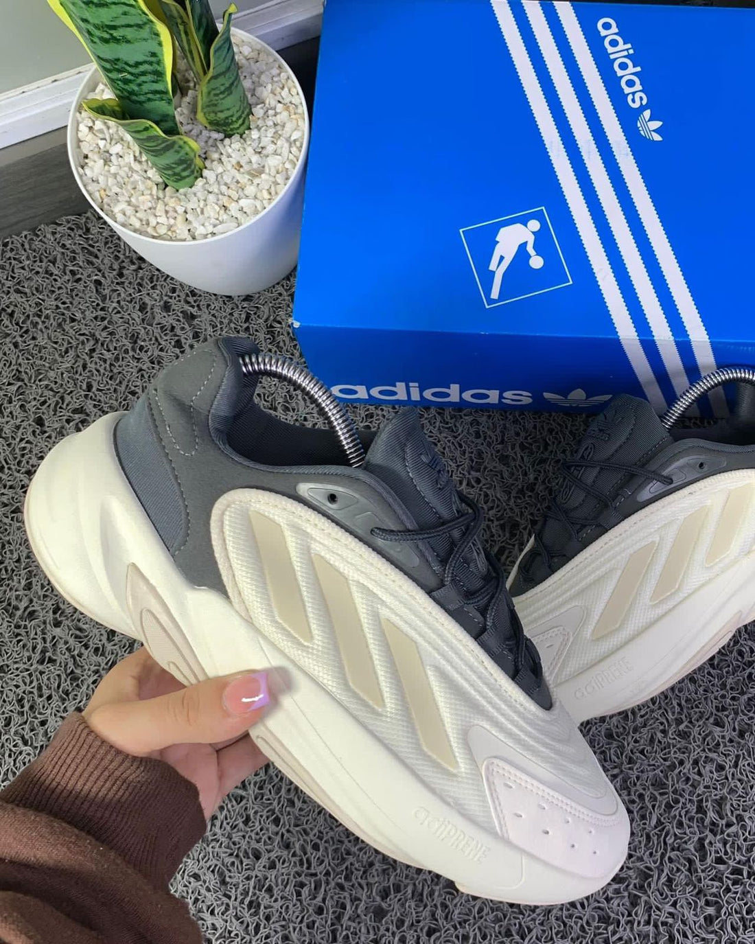 Tenis 0324-031