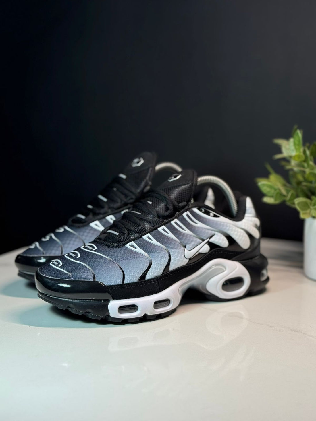 Tenis Importados