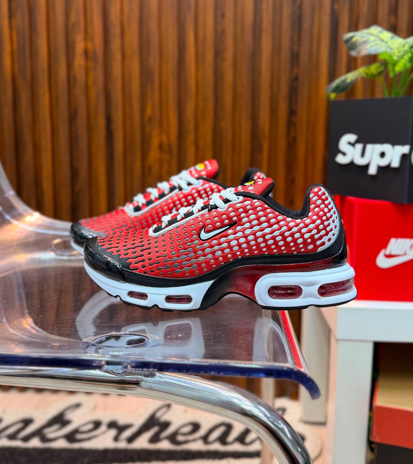 Tenis Importados