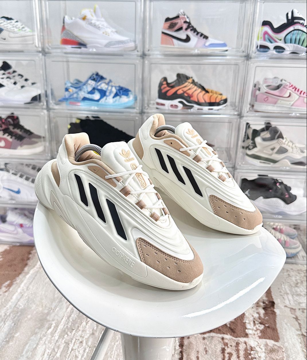 Tenis 1023-104