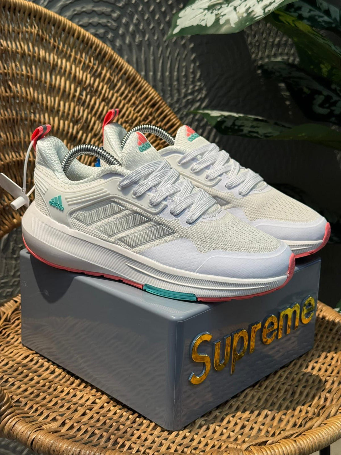 Tenis Importados