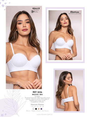 2036 - Brasier