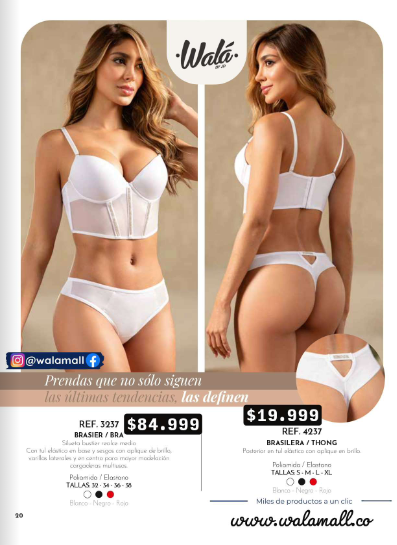 3237 - Brasier