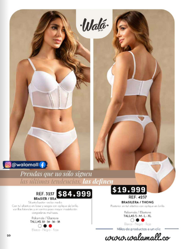 3237 - Brasier