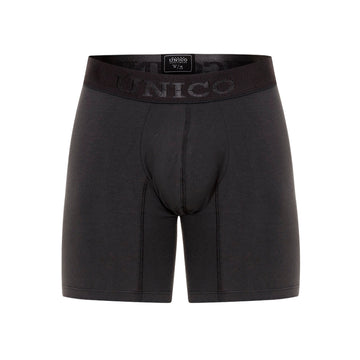 Boxer Medio Zebrano A23 23040100231