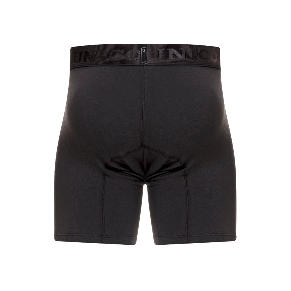Boxer Medio Zebrano A23 23040100231
